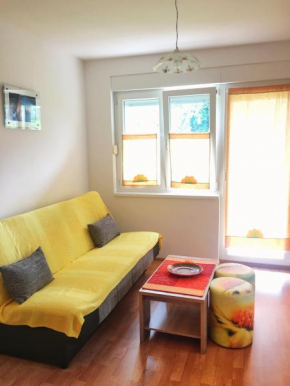 Apartman u centru Banje Koviljace